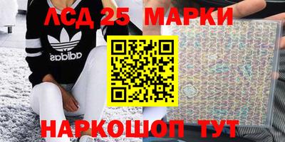 гидропоника Будённовск