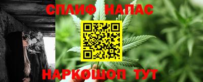 гидропоника Будённовск