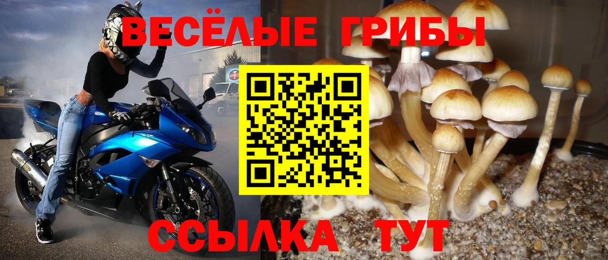 Ростов Великий  где найти наркотики  Вход с VPN  Галлюциногенные грибы мухоморы 