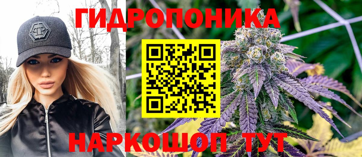 Конопля AK-47  Вход с VPN  Бошки Шишки индика  Ростов Великий  МАРИХУАНА гибрид  Конопля план 